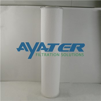 NXAM 20-2U-NF Filter Cartridge